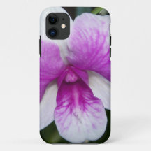 nah aus einer wunderschönen lila-weißen Orchidee