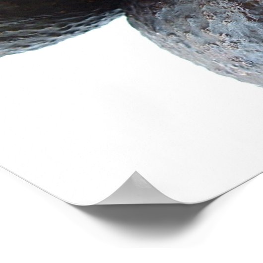 Nah Avocados Poster (Ecke)