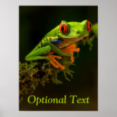 Nah, bestehend aus einem Red Mit Augen Tree Frog # Poster (Vorne)