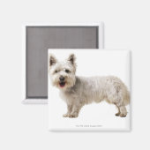 Nah ein Terrier Magnet (Vorderseite/Rückseite)