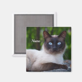 Nah einer Siamkatze mit blauen Augen Magnet (Vorderseite/Rückseite)