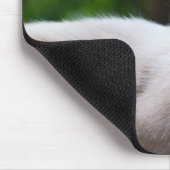 Nah einer Siamkatze Mousepad (Ecke)