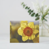 Nah Gelb/orangefarbenes Fötus Postkarte (Stehend Vorderseite)