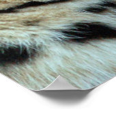 Nah mir nicht die Augen. Poster (Ecke)