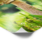 Nah mit dieser Coolen Shroom Nature Fotografie (Ecke)