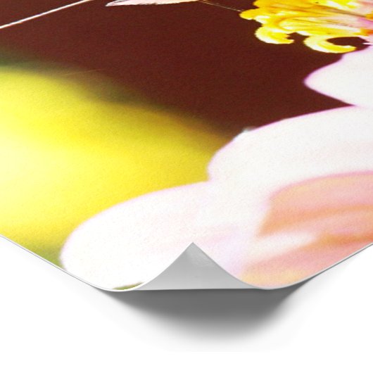 Nah mit dieser wunderschönen Schmetterlingskunst Poster (Ecke)