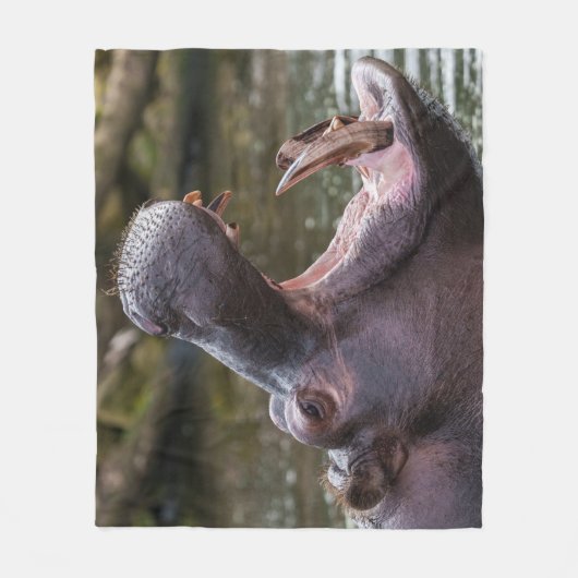 Nah mit einem Hippo: Zähne auf Anzeige Fleecedecke (Vorderseite)