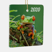 Nah mit einem Mit Augen Roten Baumfrosch auf einem Keramikornament (Rechts)