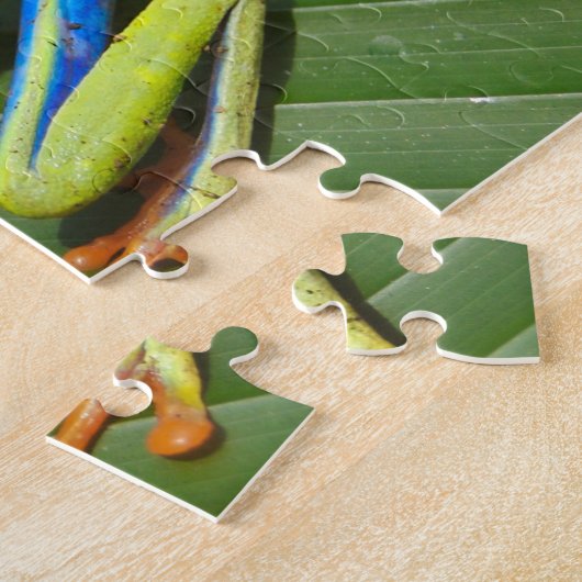 Nah mit einem Mit Augen Roten Baumfrosch auf einem Puzzle (Seite)