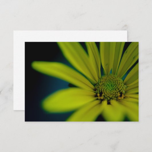 Nah-oben-Gelbe Wildblume Mitteilungskarte (Vorne/Hinten)