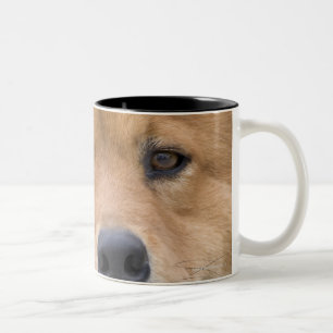 Nah oben vom Chow-Chow Mischungshund draußen Zweifarbige Tasse