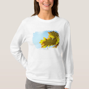 Nah oben vom gelben Herbstlaub T-Shirt