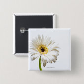 Nah oben vom Gerbera-Blumenkopf Button (Vorne & Hinten)