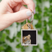 Nah oben vom Gesicht des Brüllentigers Schlüsselanhänger (Hand)