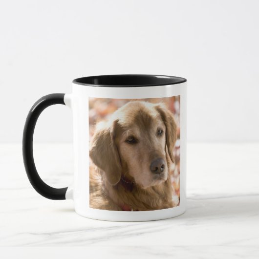 Nah oben vom goldenen Labrador-Retrieverhund Tasse (Links)