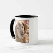 Nah oben vom goldenen Labrador-Retrieverhund Tasse (Vorderseite Links)