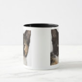 Nah oben vom Kätzchen Tasse (Zentrum)