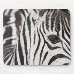 Nah oben vom Zebra Mousepad