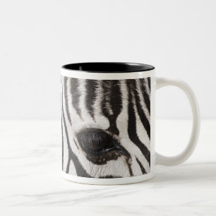 Nah oben vom Zebra Zweifarbige Tasse