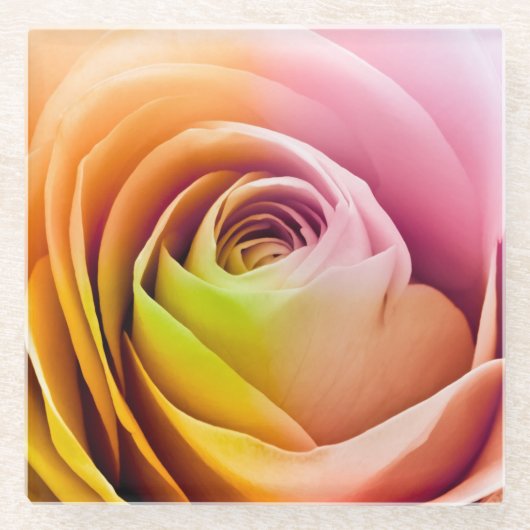 Nah oben von den bunten Rosen-Blumenblättern Glasuntersetzer (Vorderseite)