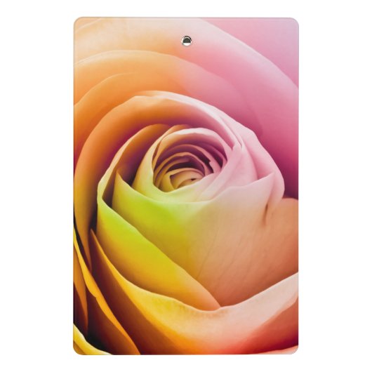 Nah oben von den bunten Rosen-Blumenblättern Mini Klemmbrett (Rückseite)