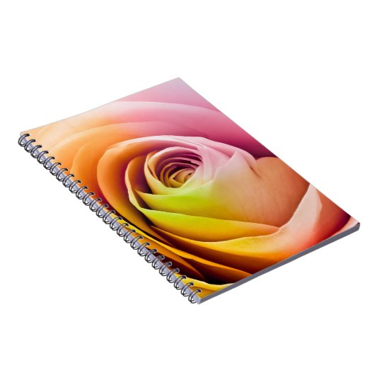 Nah oben von den bunten Rosen-Blumenblättern Notizblock (Rechte Seite)