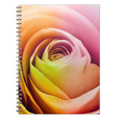 Nah oben von den bunten Rosen-Blumenblättern Notizblock (Vorderseite)