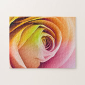 Nah oben von den bunten Rosen-Blumenblättern Puzzle (Horizontal)