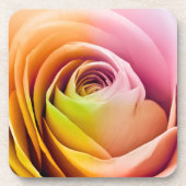 Nah oben von den bunten Rosen-Blumenblättern Untersetzer (Vorderseite)