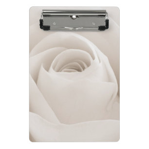 Nah oben von den weißen Rosen-Blumenblättern Mini Klemmbrett