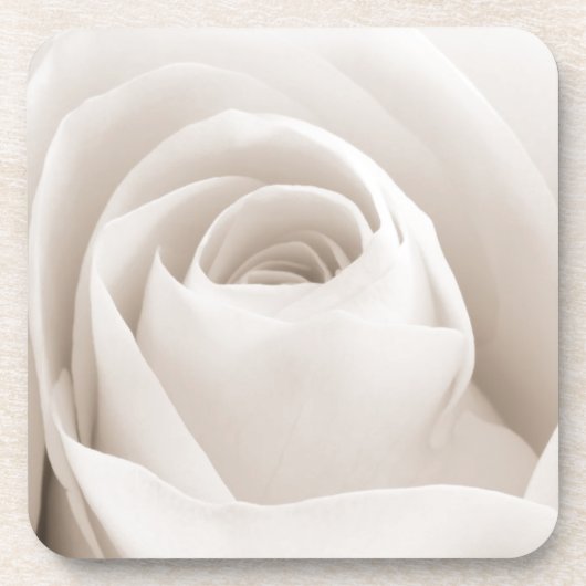 Nah oben von den weißen Rosen-Blumenblättern Untersetzer (Vorderseite)