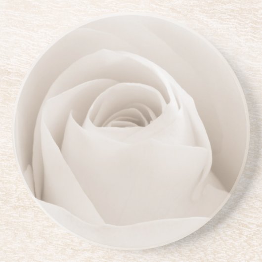 Nah oben von den weißen Rosen-Blumenblättern Untersetzer (Vorne)