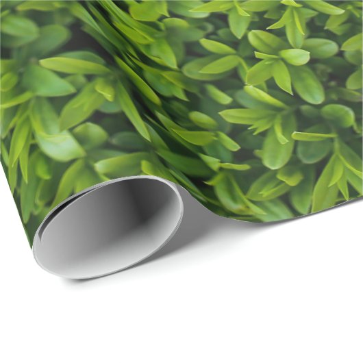 Nah oben von der hellgrünen Hecke Geschenkpapier (Rolleneckpunkt)