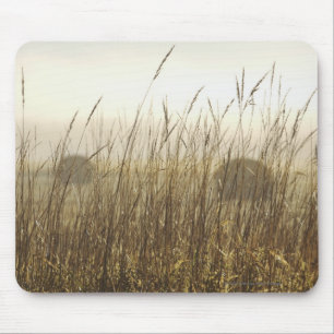 Nah oben von der Weizen-Fotografie Mousepad