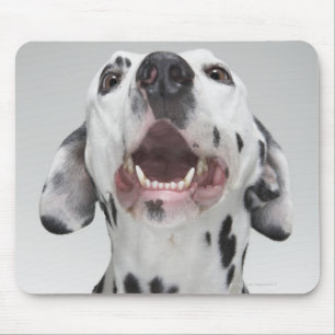 Nah oben von einem Dalmatinerhund Mousepad