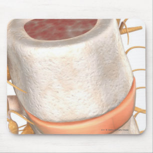 Nah oben von einem invertebral Disc im Dorn Mousepad