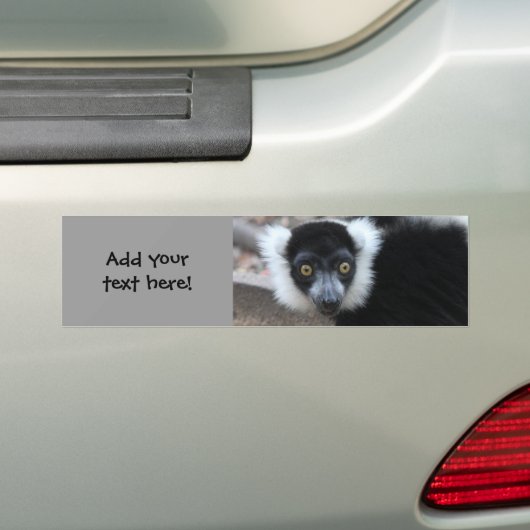 Nah oben von einem Schwarzweiss-Ruffed Lemur Autoaufkleber (Auf Auto)