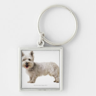Nah oben von einem Terrier Schlüsselanhänger