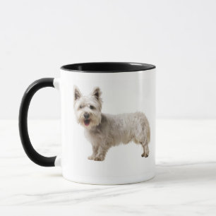 Nah oben von einem Terrier Tasse