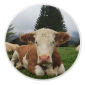 Nah oben von einer braunen und weißen keramikknauf (Vorderseite)