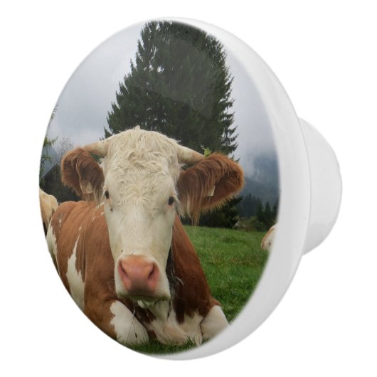 Nah oben von einer braunen und weißen keramikknauf (Rechts)