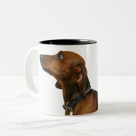 Nah oben von einer Dackel Zweifarbige Tasse (Vorderseite Links)