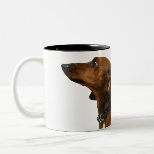Nah oben von einer Dackel Zweifarbige Tasse (Links)
