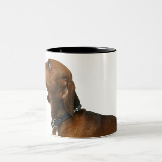 Nah oben von einer Dackel Zweifarbige Tasse (Mittel)