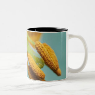 Nah oben von einer gelben Lilie Zweifarbige Tasse