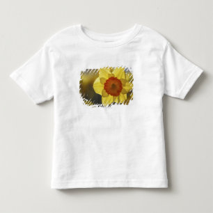 Nah oben von einer gelben/orange Narzisse Kleinkind T-shirt