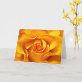 Nah oben von einer gelben Rose Karte (Gelbe Blume)