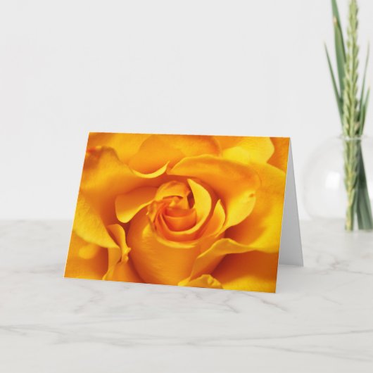 Nah oben von einer gelben Rose Karte (Vorderseite)