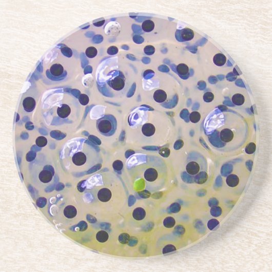 Nah oben von Frogspawn Eggs bald, um Tadpoles zu Getränkeuntersetzer (Vorne)