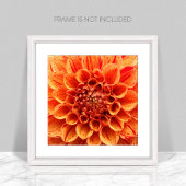 Nah-Orange-Blume-Poster Poster